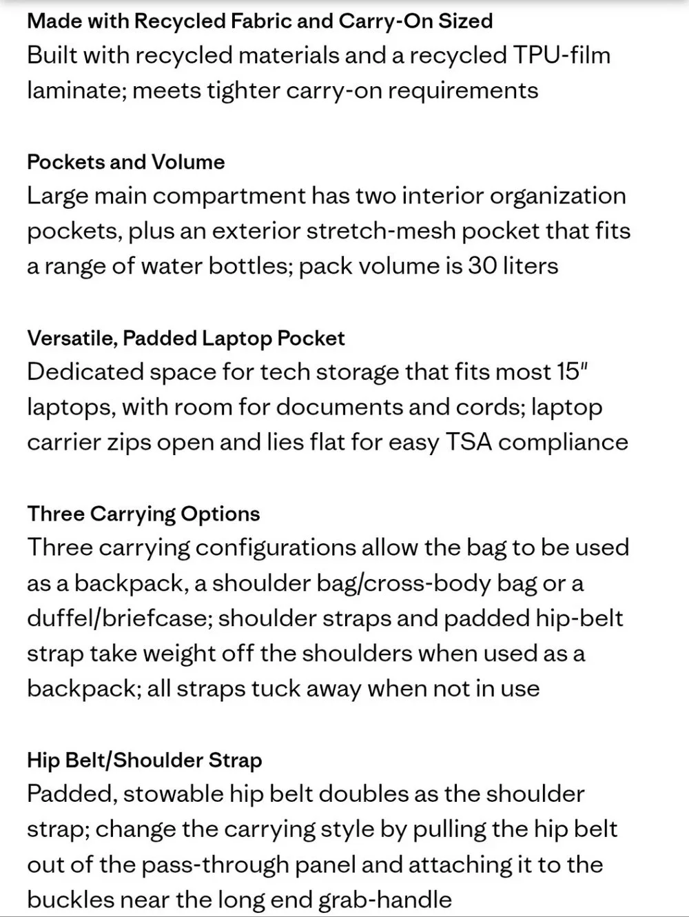 Patagonia Black Hole mini MLC Pack 30 L